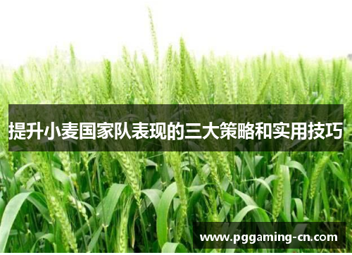 提升小麦国家队表现的三大策略和实用技巧